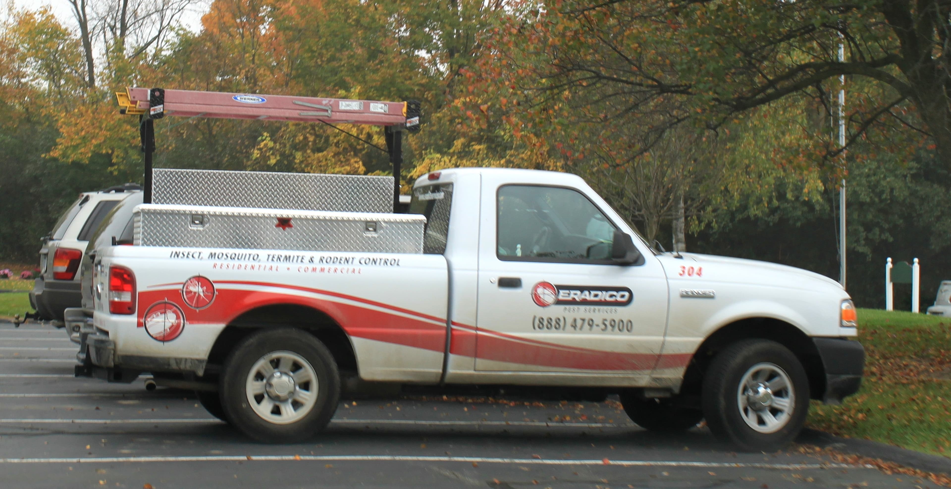 Pest Control professional at work